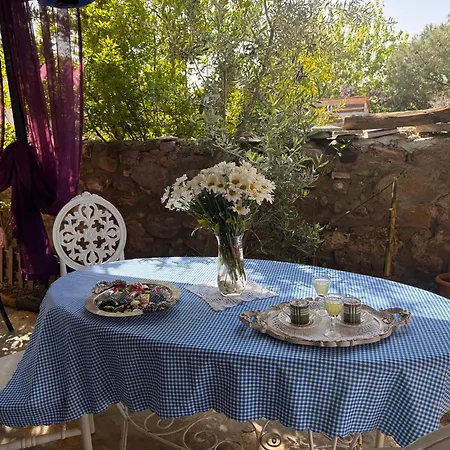 Masal Kuecuekkoey Boutiquehotel فندق Ayvalı