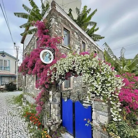 Masal Kuecuekkoey Boutiquehotel فندق Ayvalı